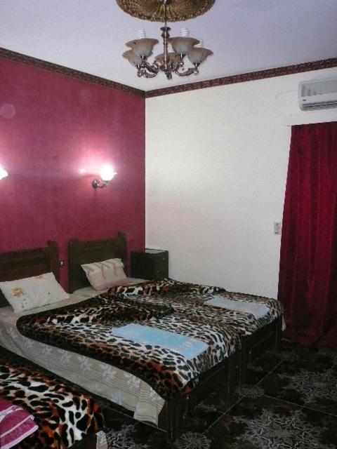 King Tut Hostel 开罗 外观 照片